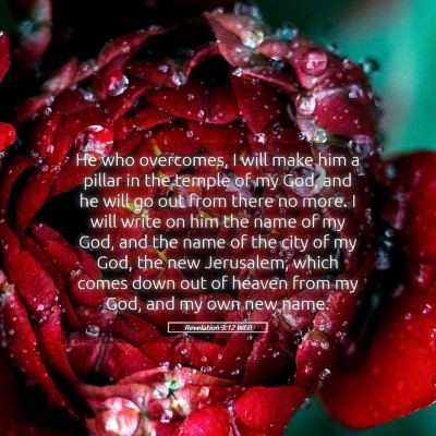 Picture 05 - Revelation 3:12 WEB - He who overcomes, I will make him a pillar in the - Bible Verse Picture