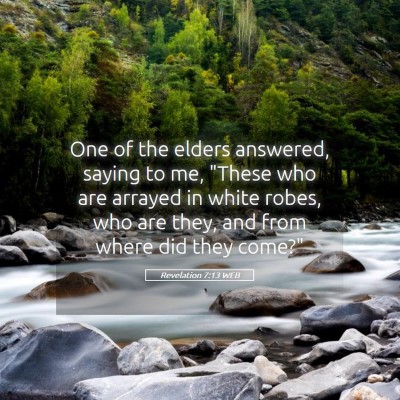 Picture 05 - Revelation 7:13 WEB - One of the elders answered, saying to me, 