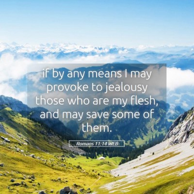 Picture 05 - Romans 11:14 WEB - if by any means I may provoke to jealousy those - Bible Verse Picture