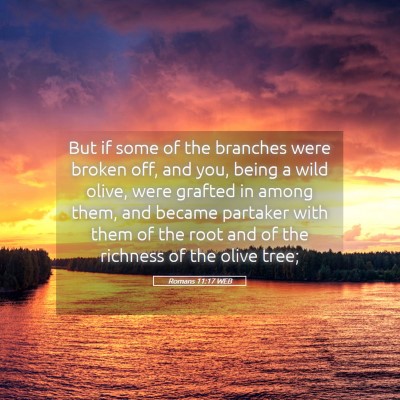 Picture 05 - Romans 11:17 WEB - But if some of the branches were broken off, and - Bible Verse Picture