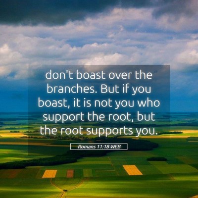 Picture 05 - Romans 11:18 WEB - don't boast over the branches. But if you boast, - Bible Verse Picture