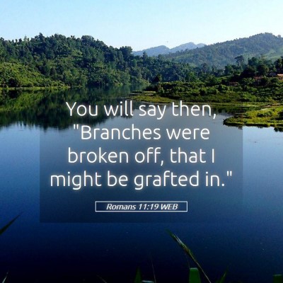 Picture 05 - Romans 11:19 WEB - You will say then, 