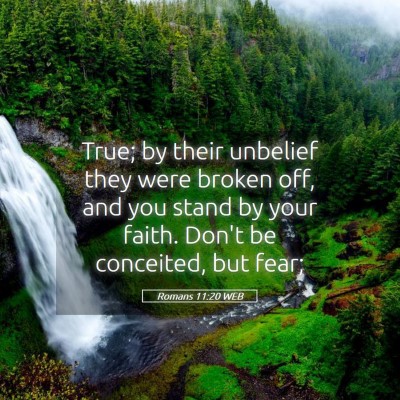Picture 05 - Romans 11:20 WEB - True; by their unbelief they were broken off, and - Bible Verse Picture