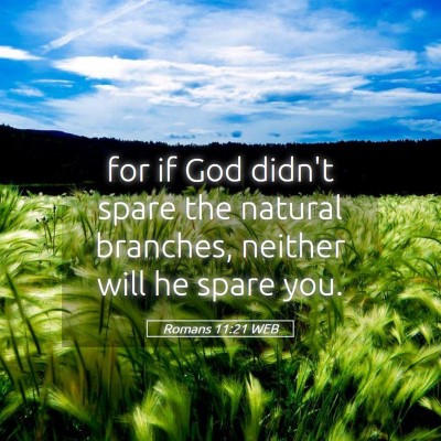 Picture 05 - Romans 11:21 WEB - for if God didn't spare the natural branches, - Bible Verse Picture