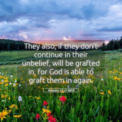 Picture 05 - Romans 11:23 WEB - They also, if they don't continue in their - Bible Verse Picture