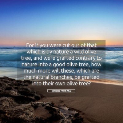 Picture 05 - Romans 11:24 WEB - For if you were cut out of that which is by - Bible Verse Picture