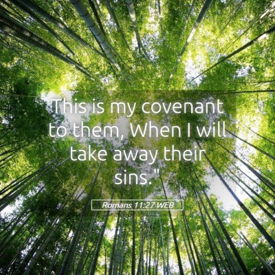 Picture 05 - Romans 11:27 WEB - This is my covenant to them, When I will take - Bible Verse Picture