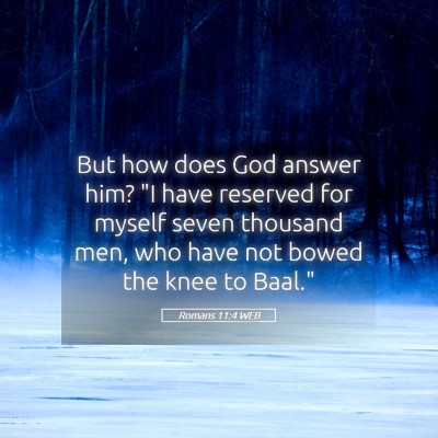 Picture 05 - Romans 11:4 WEB - But how does God answer him? 