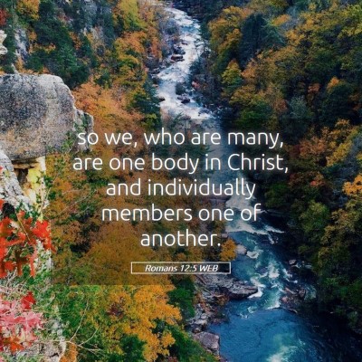 Picture 05 - Romans 12:5 WEB - so we, who are many, are one body in Christ, and - Bible Verse Picture