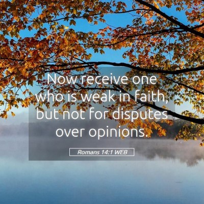 Picture 05 - Romans 14:1 WEB - Now receive one who is weak in faith, but not for - Bible Verse Picture