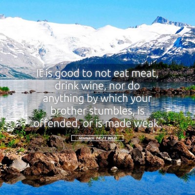 Picture 05 - Romans 14:21 WEB - It is good to not eat meat, drink wine, nor do - Bible Verse Picture