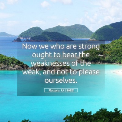 Picture 05 - Romans 15:1 WEB - Now we who are strong ought to bear the - Bible Verse Picture