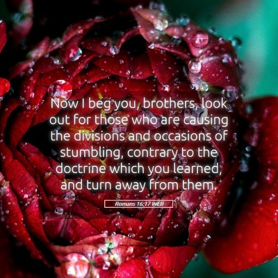 Picture 05 - Romans 16:17 WEB - Now I beg you, brothers, look out for those who - Bible Verse Picture