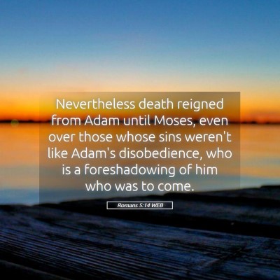 Picture 05 - Romans 5:14 WEB - Nevertheless death reigned from Adam until Moses, - Bible Verse Picture