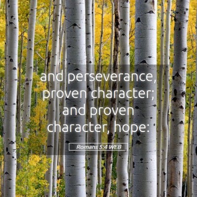 Picture 05 - Romans 5:4 WEB - and perseverance, proven character; and proven - Bible Verse Picture