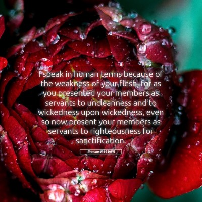 Picture 05 - Romans 6:19 WEB - I speak in human terms because of the weakness of - Bible Verse Picture