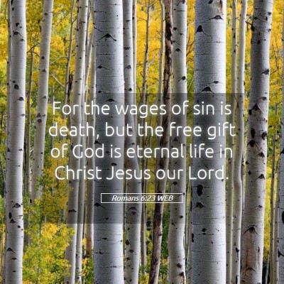 Picture 05 - Romans 6:23 WEB - For the wages of sin is death, but the free gift - Bible Verse Picture