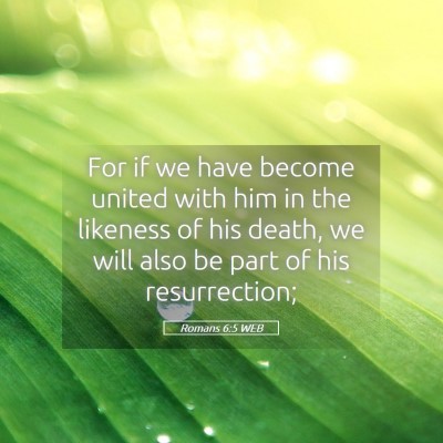 Picture 05 - Romans 6:5 WEB - For if we have become united with him in the - Bible Verse Picture