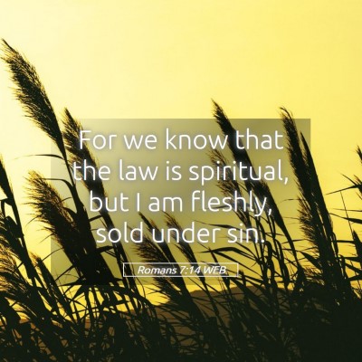 Picture 05 - Romans 7:14 WEB - For we know that the law is spiritual, but I am - Bible Verse Picture