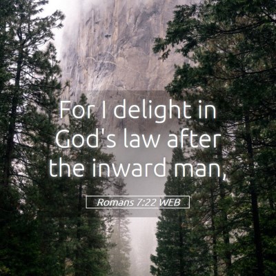 Picture 05 - Romans 7:22 WEB - For I delight in God's law after the inward - Bible Verse Picture