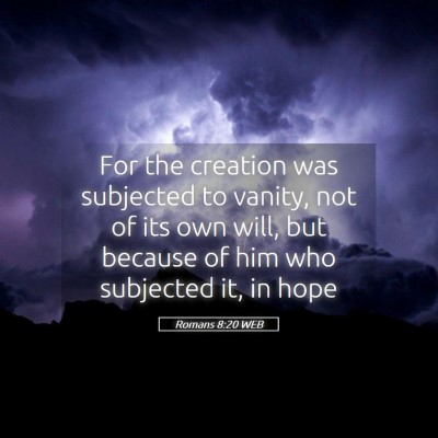 Picture 05 - Romans 8:20 WEB - For the creation was subjected to vanity, not of - Bible Verse Picture