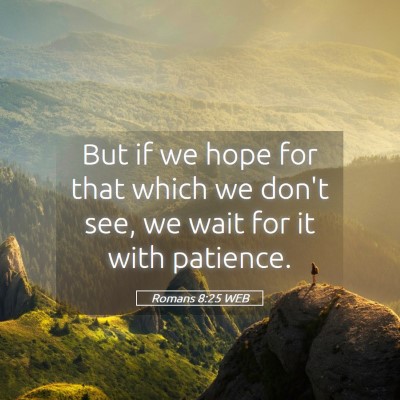 Picture 05 - Romans 8:25 WEB - But if we hope for that which we don't see, we - Bible Verse Picture