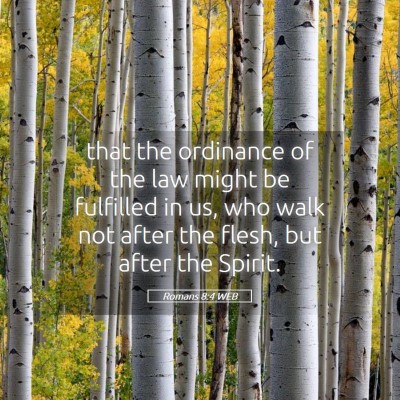 Picture 05 - Romans 8:4 WEB - that the ordinance of the law might be fulfilled - Bible Verse Picture