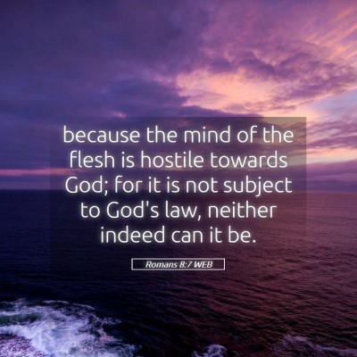 Picture 05 - Romans 8:7 WEB - because the mind of the flesh is hostile towards - Bible Verse Picture