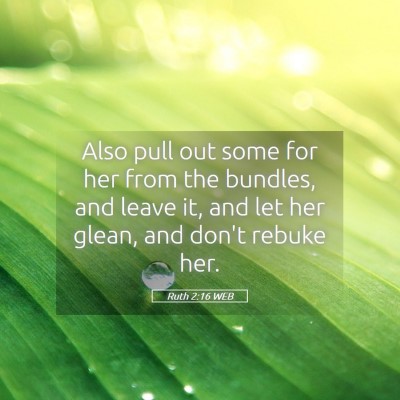 Picture 05 - Ruth 2:16 WEB - Also pull out some for her from the bundles, and - Bible Verse Picture