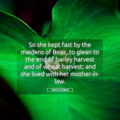Picture 05 - Ruth 2:23 WEB - So she kept fast by the maidens of Boaz, to glean - Bible Verse Picture