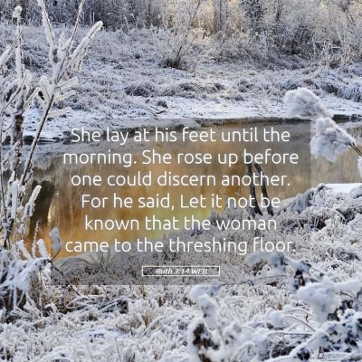 Picture 05 - Ruth 3:14 WEB - She lay at his feet until the morning. She rose - Bible Verse Picture