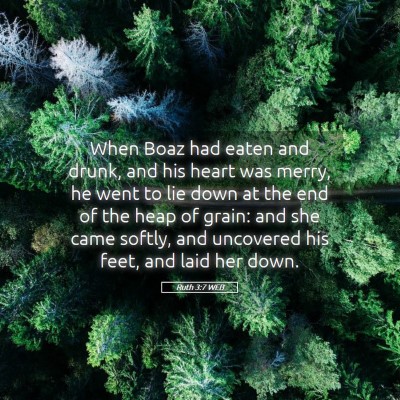 Picture 05 - Ruth 3:7 WEB - When Boaz had eaten and drunk, and his heart was - Bible Verse Picture