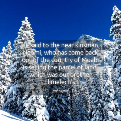 Picture 05 - Ruth 4:3 WEB - He said to the near kinsman, Naomi, who has come - Bible Verse Picture