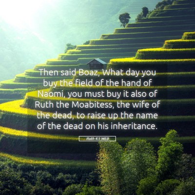 Picture 05 - Ruth 4:5 WEB - Then said Boaz, What day you buy the field of the - Bible Verse Picture
