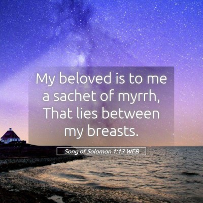 Picture 05 - Song of Solomon 1:13 WEB - My beloved is to me a sachet of myrrh, That lies - Bible Verse Picture