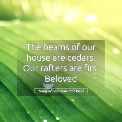 Picture 05 - Song of Solomon 1:17 WEB - The beams of our house are cedars. Our rafters - Bible Verse Picture