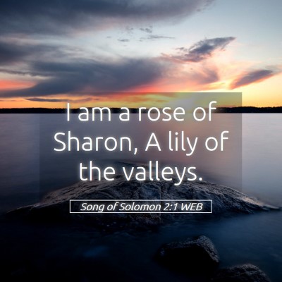 Picture 05 - Song of Solomon 2:1 WEB - I am a rose of Sharon, A lily of the - Bible Verse Picture