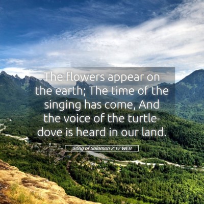 Picture 05 - Song of Solomon 2:12 WEB - The flowers appear on the earth; The time of the - Bible Verse Picture