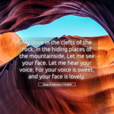 Picture 05 - Song of Solomon 2:14 WEB - My dove in the clefts of the rock, In the hiding - Bible Verse Picture