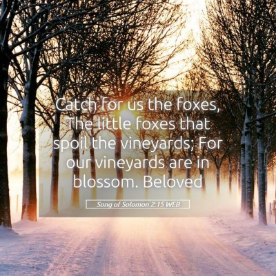 Picture 05 - Song of Solomon 2:15 WEB - Catch for us the foxes, The little foxes that - Bible Verse Picture
