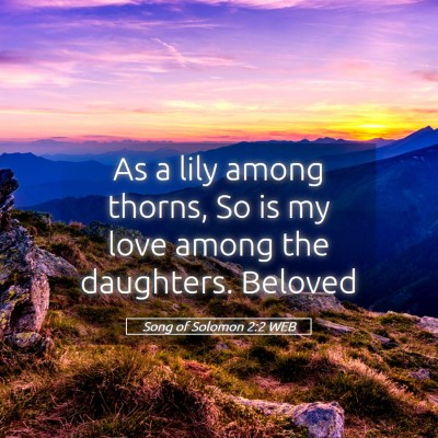 Picture 05 - Song of Solomon 2:2 WEB - As a lily among thorns, So is my love among the - Bible Verse Picture