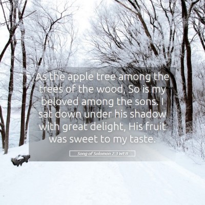 Picture 05 - Song of Solomon 2:3 WEB - As the apple tree among the trees of the wood, So - Bible Verse Picture