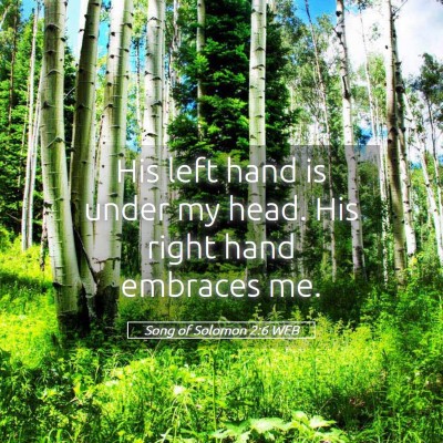 Picture 05 - Song of Solomon 2:6 WEB - His left hand is under my head. His right hand - Bible Verse Picture