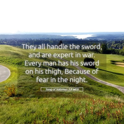 Picture 05 - Song of Solomon 3:8 WEB - They all handle the sword, and are expert in war. - Bible Verse Picture