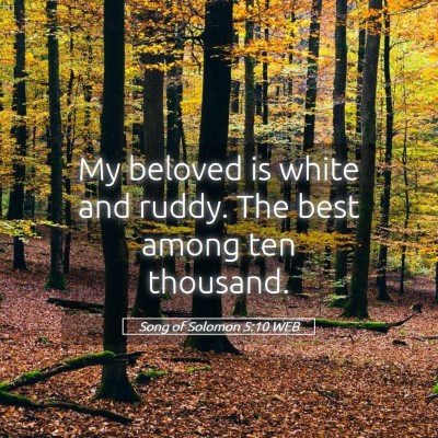 Picture 05 - Song of Solomon 5:10 WEB - My beloved is white and ruddy. The best among ten - Bible Verse Picture