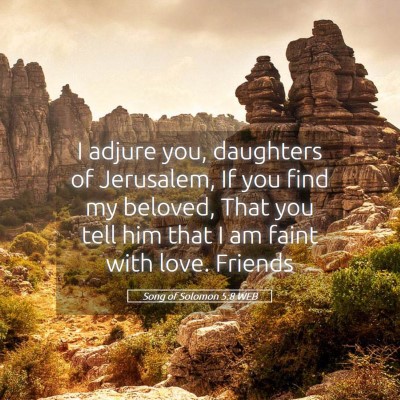 Picture 05 - Song of Solomon 5:8 WEB - I adjure you, daughters of Jerusalem, If you find - Bible Verse Picture