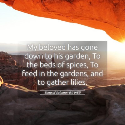 Picture 05 - Song of Solomon 6:2 WEB - My beloved has gone down to his garden, To the - Bible Verse Picture