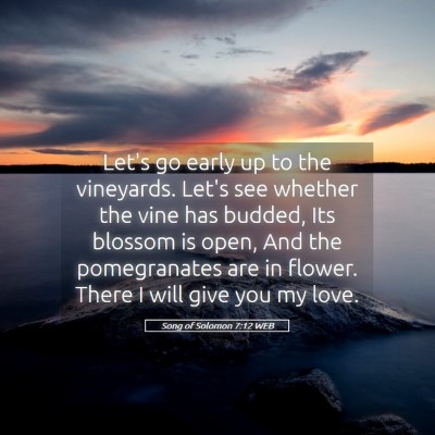 Picture 05 - Song of Solomon 7:12 WEB - Let's go early up to the vineyards. Let's see - Bible Verse Picture