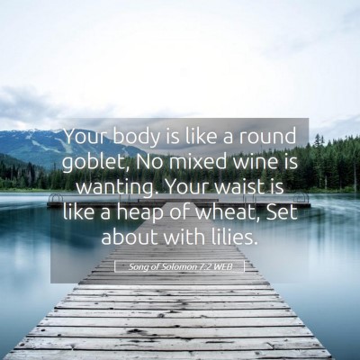 Picture 05 - Song of Solomon 7:2 WEB - Your body is like a round goblet, No mixed wine - Bible Verse Picture
