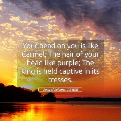 Picture 05 - Song of Solomon 7:5 WEB - Your head on you is like Carmel, The hair of your - Bible Verse Picture